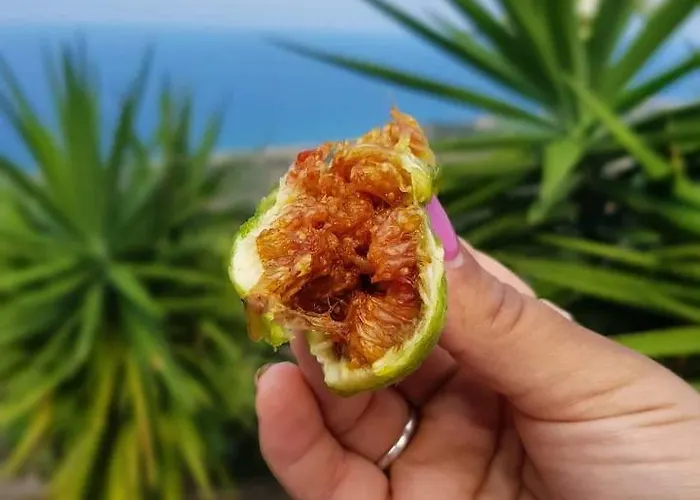 Azienda Agrituristica La Fonte *